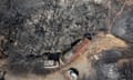 Areal image of three burned vehicles and trees burned by wildfires in Rhodes