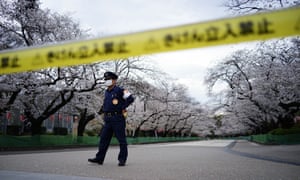 A security person stands guard at the famed street of cherry blossoms which is closed as a safety precaution against the new coronavirus at Ueno Park in Tokyo.