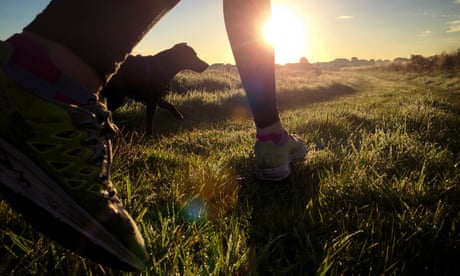 Below knee of a woman with a dog running along a country track just as the sun is rising over the fields