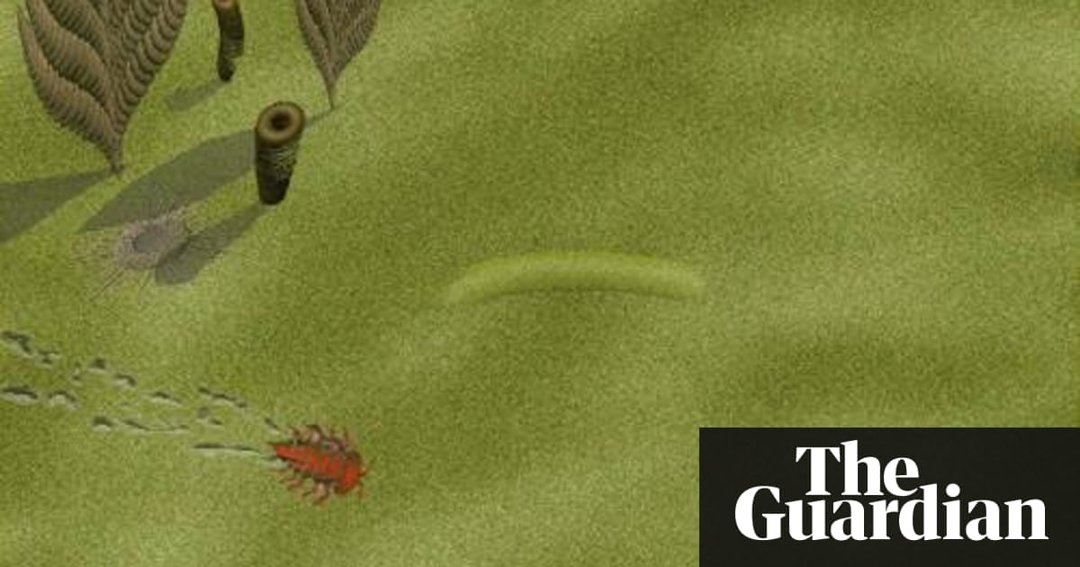 540m-year-old bug tracks are oldest footprints ever discovered