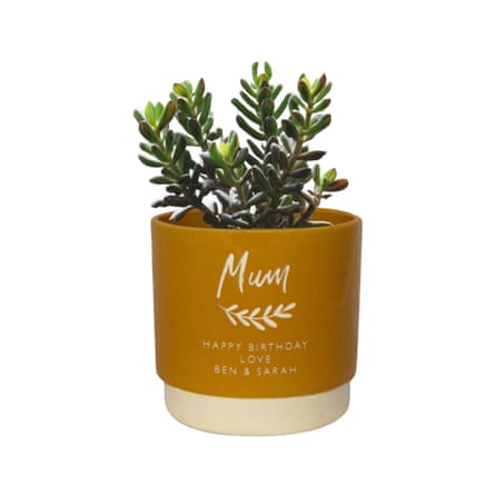 Personalised Name Indoor Plant Pot