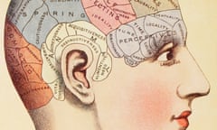 Sphere of influence: a phrenological map of the human brain.