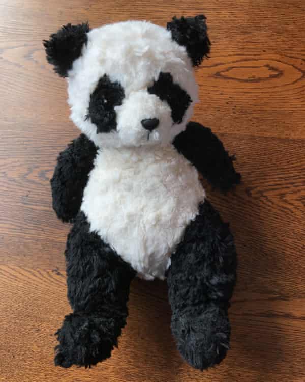 Pinged back⦠the lost panda.