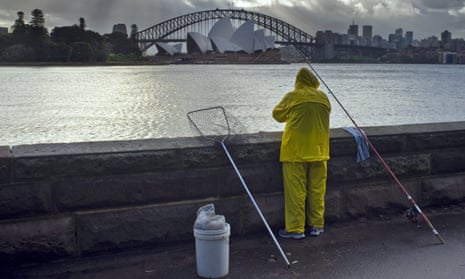 Will a million-dollar fish lure tourists to Sydney, or will it just swim away with our hopes and dreams? | Sydney | The Guardian Will a million-dollar fish lure tourists to Sydney, or will it just swim away with our hopes and dreams? | Sydney | The Guardian