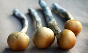 Magic mushrooms