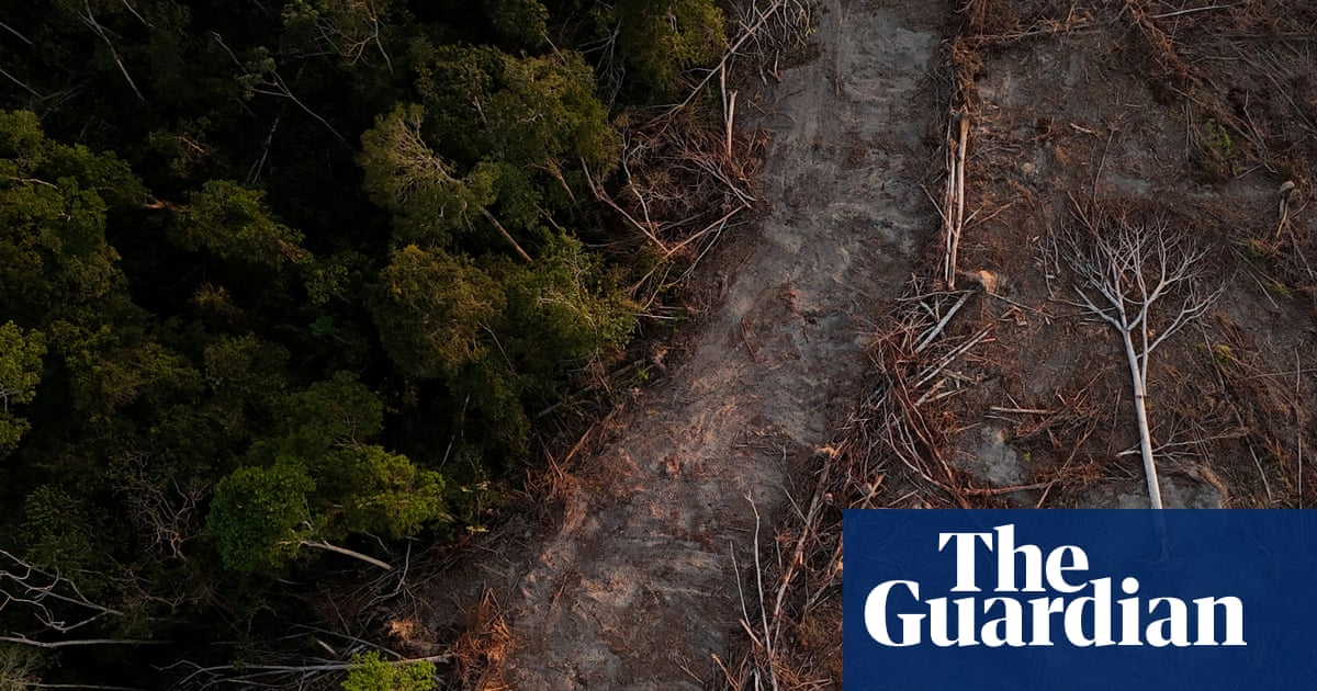 Courts pushing back on corporate carbon offsetting claims, LSE report finds