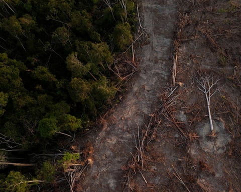 Vista aérea de árvores derrubadas e terras desmatadas no estado do Pará, Brasil; elas ficam de um lado de uma trilha com floresta verde escura do outro