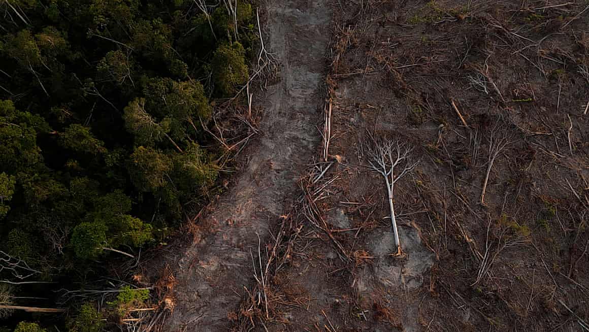 Deforested land in Pará