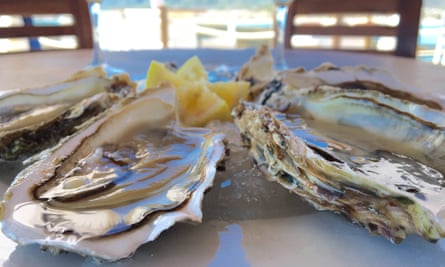 a lunch of just-dived Oysters at Musclarium