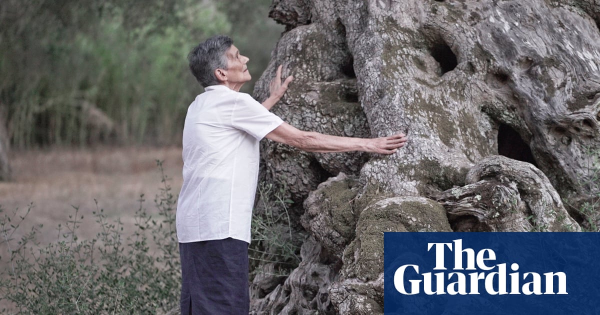 Plant apocalypse: how new diseases are destroying EU trees and crops | Italy