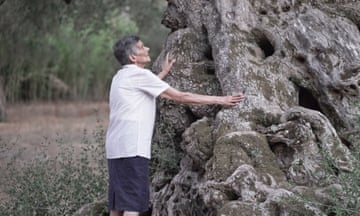 An elderly woman with her hands on an ancient tree killed by Xylella fastidiosa in Puglia.