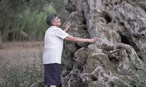 An resident of Scorrano, southern Italy with her hands on an ancient tree killed by Xylella fastidiosa.