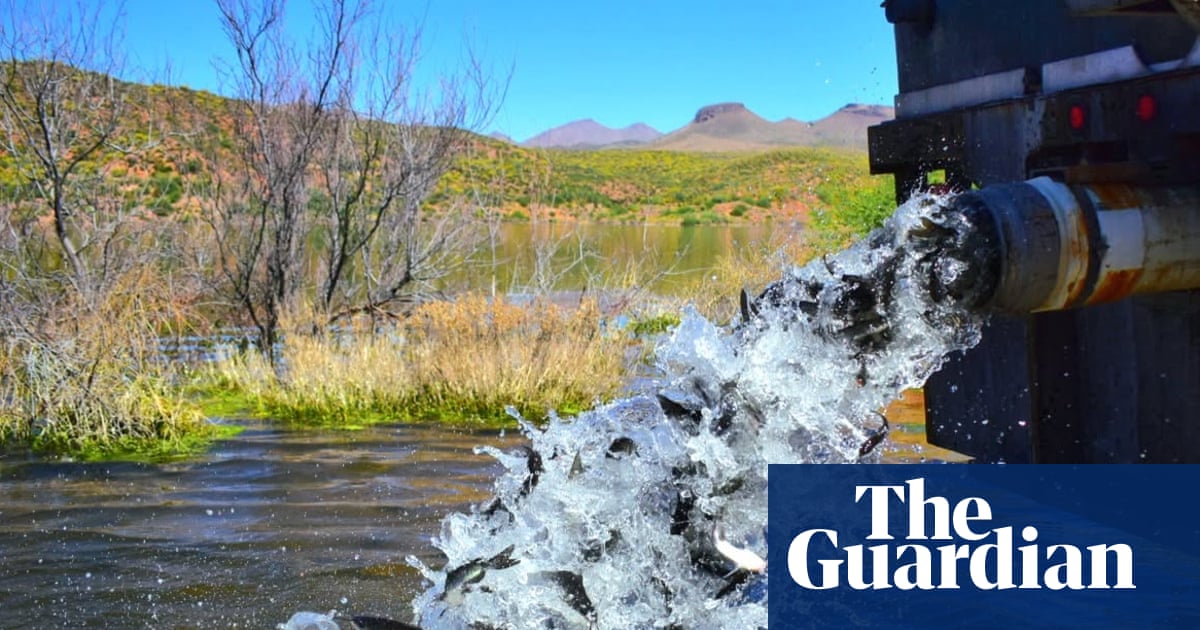 Arizona lake closes indefinitely to visitors after all of its fish die