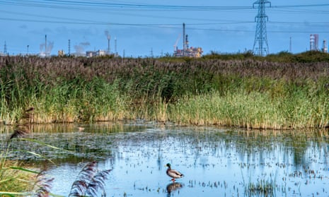 Works and water … RSPB Saltholme nature reserve in the Tees valley.