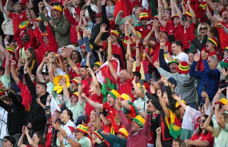 The fans of Wales celebrate after Jess Fishlock of Wales (not pictured) scores her team's equaliser against France.