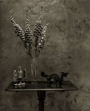 Foxgloves with Chinese figures and dragon