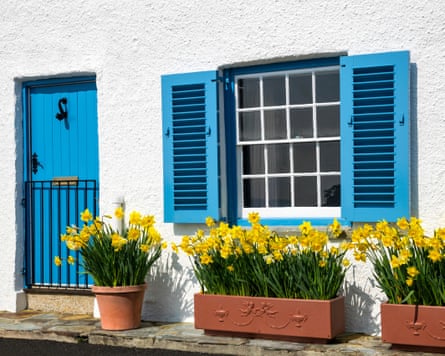 A cottage with blue shutters.