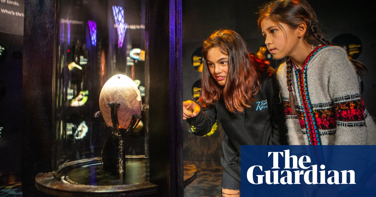 Inside the nature zone: New Zealand's major museum investment is an urgent call to action