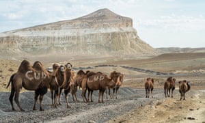 kazakhstan holidays travel the guardian