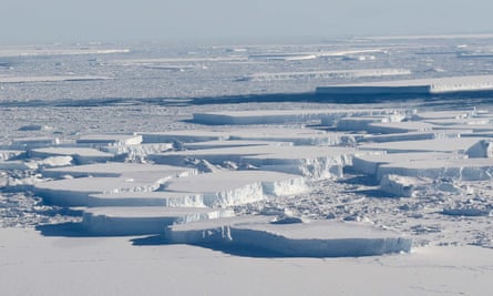The record slow growth of Antarctic sea ice is alarming scientists.