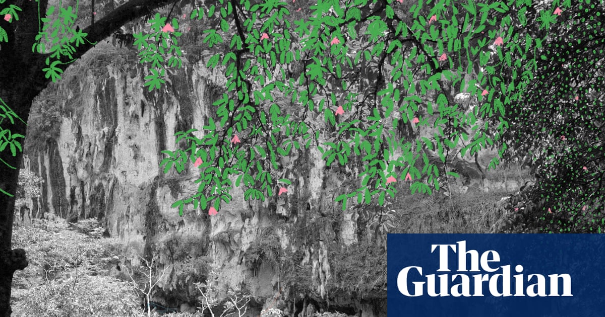 Kindness of strangers: Lost in the Thai rainforest, a fellow backpacker picked me up and carried me home