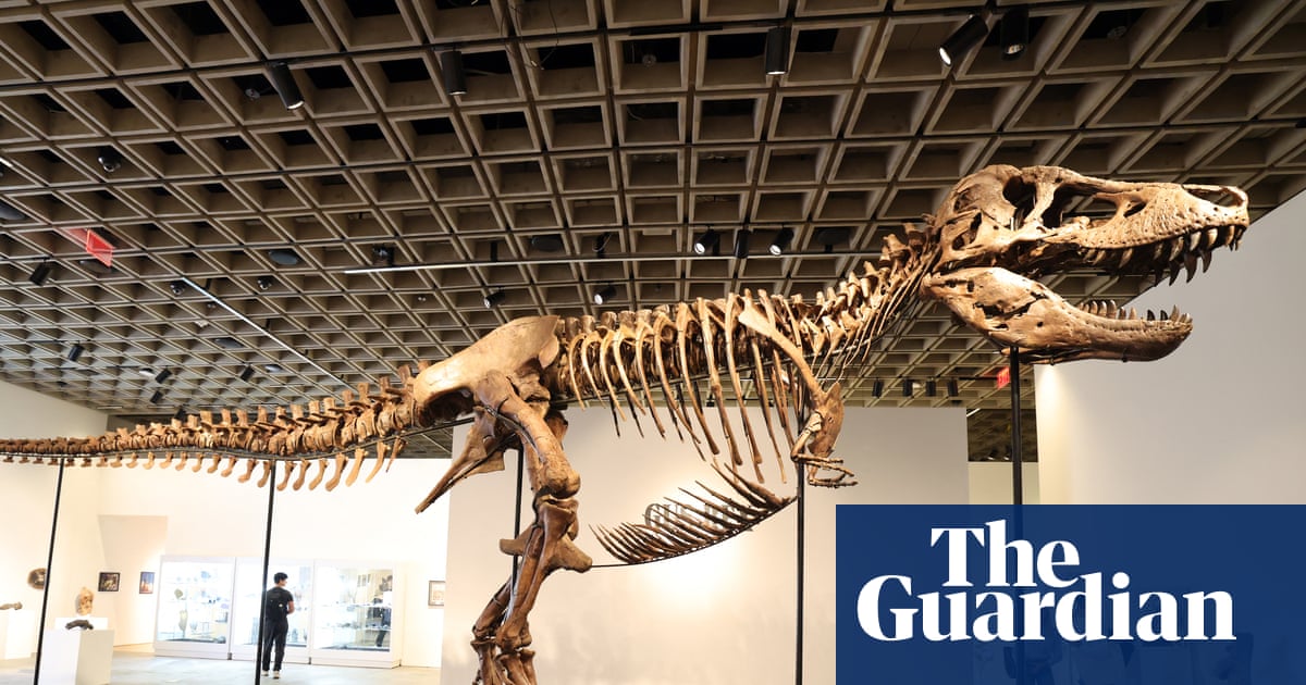 The ultra rich are collecting fossils. And that’s bad for science – video | Science The ultra rich are collecting fossils. And that’s bad for science – video | Science