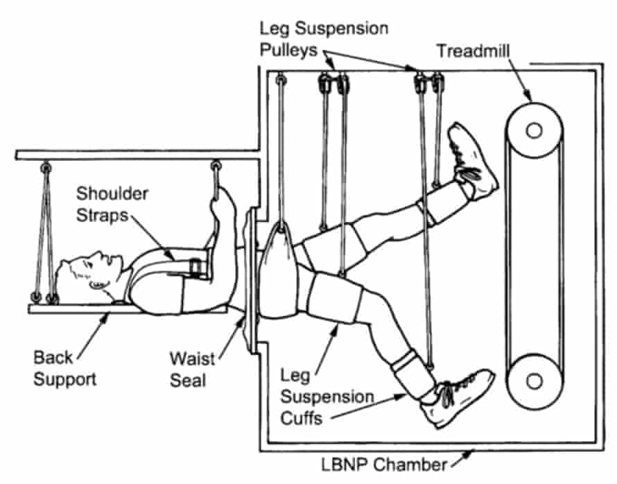 The lower body negative pressure (LBNP) device, described by orthopaedic surgeon Alan Hargens as “an early form of artificial gravity”.