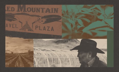 a composite image of a sign saying travel plaza, a man in a hat, cannabis plants