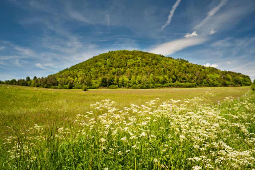 EU plan to halve use of pesticides in ‘milestone’ laws to revive ecosystems | Pesticides