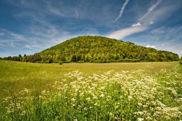 Prados de flores silvestres como este em frente a Puy de Montchal, Auvergne, França, serão mais seguros.