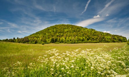 Wildflower meadow in front of Puy de Montchal, a volcanic cone, Puy-de-Dome.