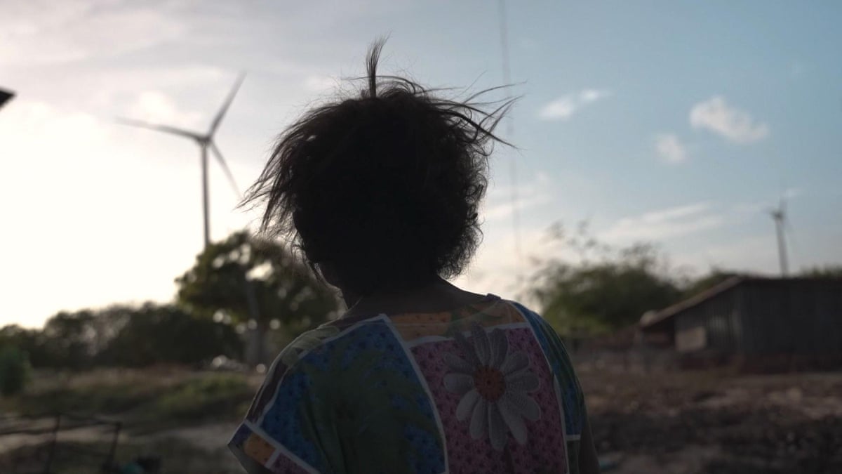 Brazilian farmers describe what it’s like living next to wind turbines – video
