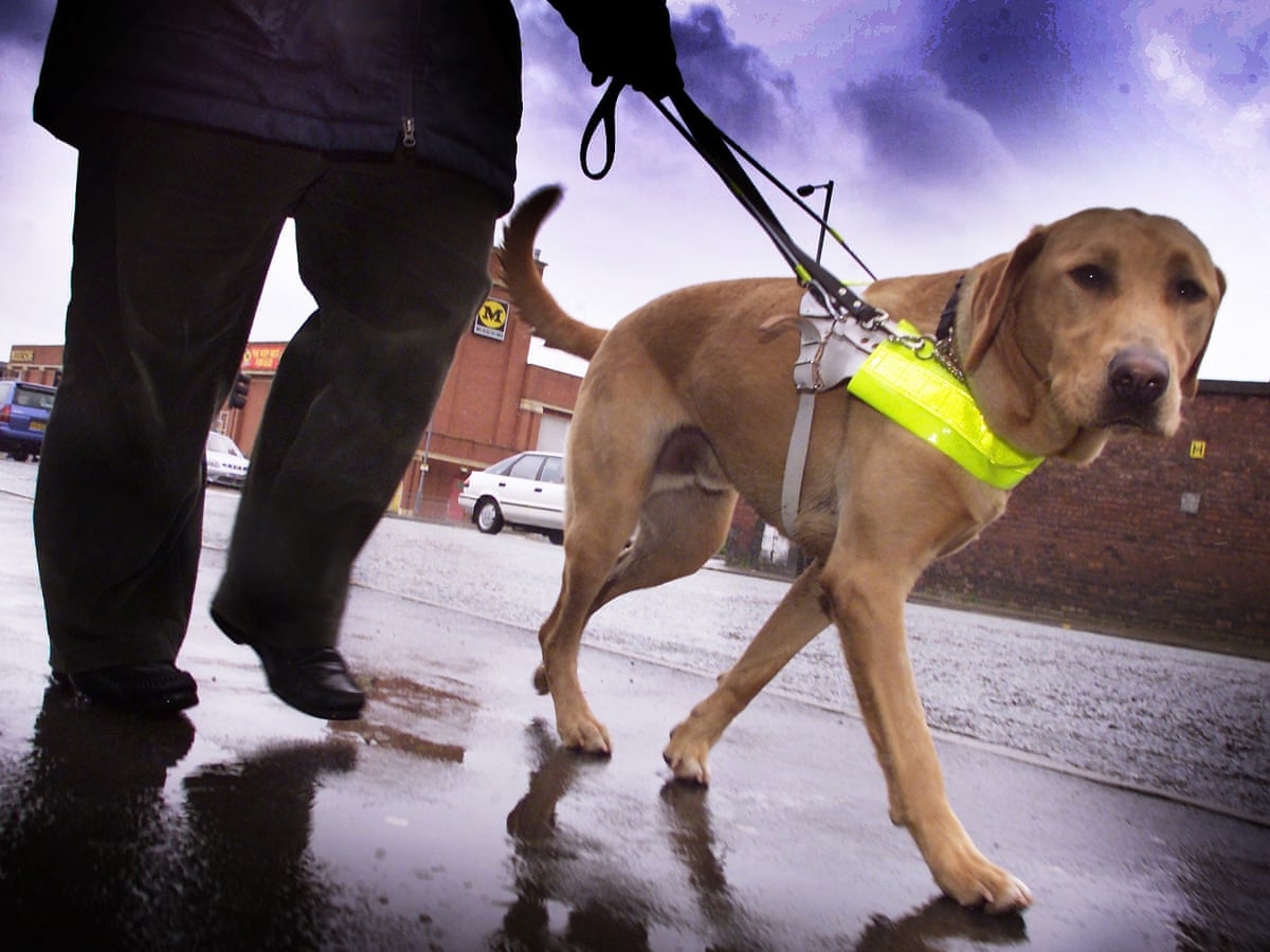 Echolocation Could Help Blind People Learn To Navigate Like Bats Society The Guardian