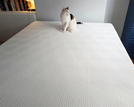Tempur Ease
