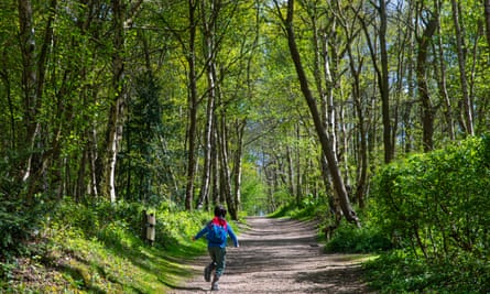 A boy running on a path through the wood in Bestwood Country Park, Nottingham that the Wild Things Forest School uses as its classroom