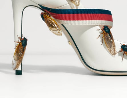 an artwork shows a heeled shoe with bugs crawling on it