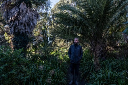 Chris Kidd among palm trees at Ventnor Botanic Garden.