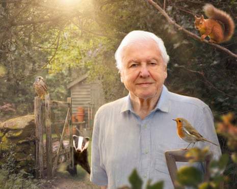 Photomontage of David Attenborough surrounded by garden animals such as a robin, badger and squirrel