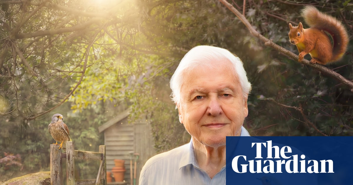 TV tonight: David Attenborough’s sparkling new series before he turns 100