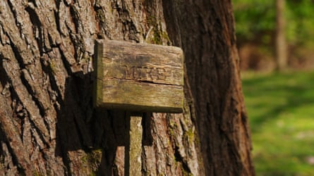 A small wooden sign reading “MIKE” sits in front of a large tree