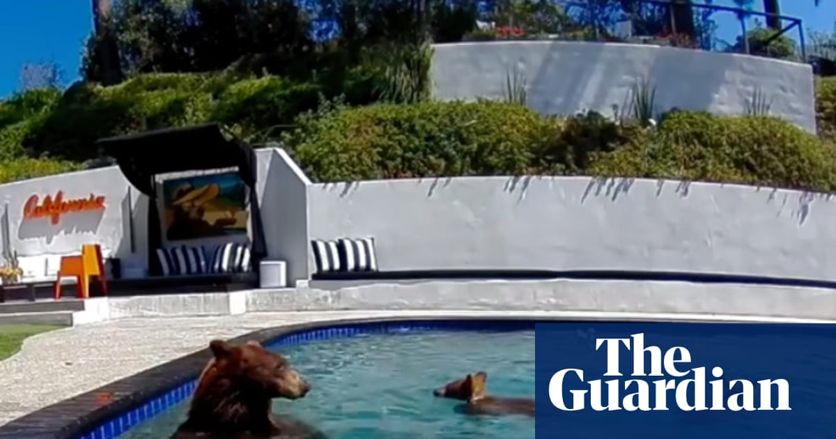Bear-y good neighbors: humans and animals are learning to live together in an expanding LA