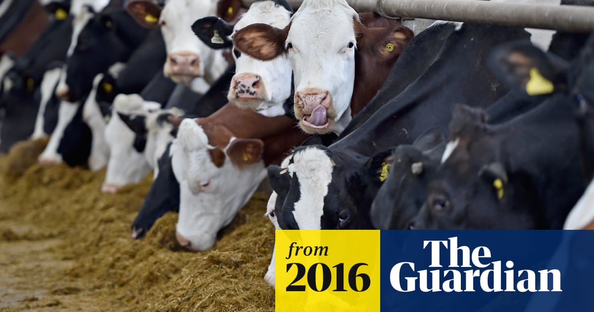 Eat less meat to avoid dangerous global warming, scientists say | Food | The Guardian Eat less meat to avoid dangerous global warming, scientists say | Food | The Guardian