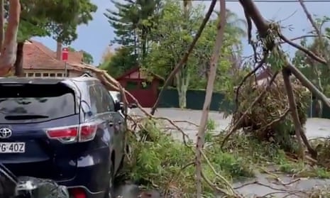 Sydney storm: a thunderstorm swept through Gordon on Tuesday afternoon as wild weather brought down hundreds of trees and powerline
