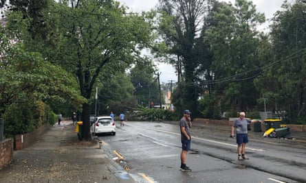 Men direct traffic after a tree fell on Penshurst Street, in the Sydney suburb of Willoughby, taking power lines down.