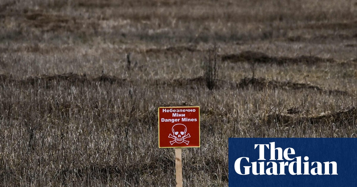 Global food price fears as Ukraine farmers forced to reduce crop planting