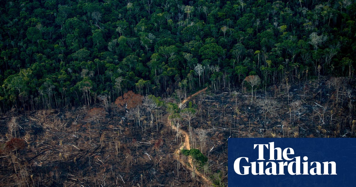 Brazil military ‘posed as NGOs on social media’ to play down deforestation