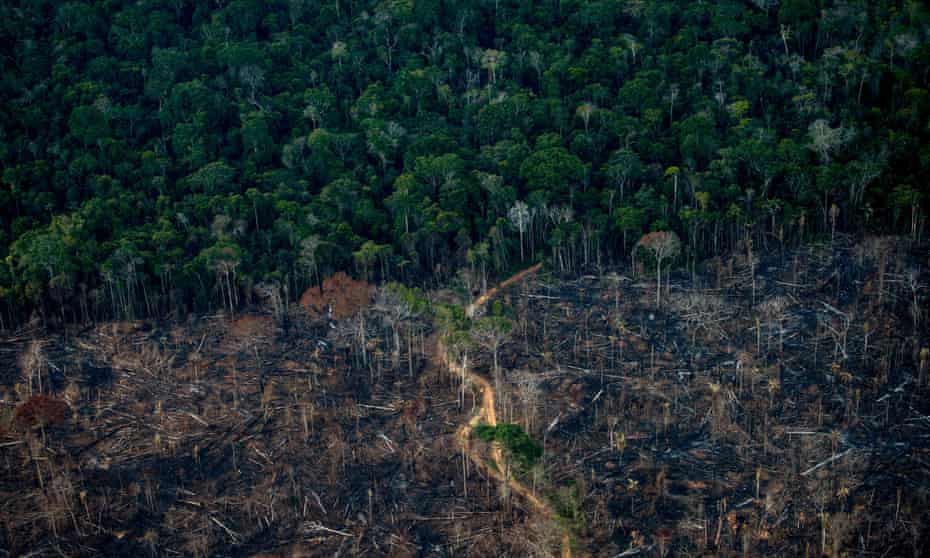 ‘In 2021, they created Pages that posed as fictitious NGOs and activists focused on environmental issues in the Amazonas region of Brazil,’ the Meta report said.