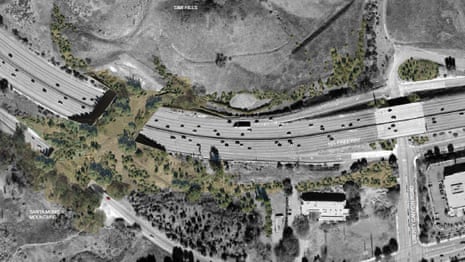 Los Angeles to build world's largest wildlife bridge across 10-lane freeway – video