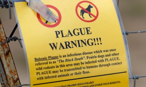 A laminated yellow sign with black writing and a headline saying "Plague Warning!!!", with red circles crossing out both an icon of a person walking and an icon of a dog.