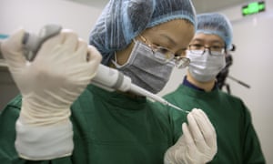 Zhou Xiaoqin, left, loads Cas9 protein and PCSK9 sgRNA molecules into a fine glass pipette as Qin Jinzhou watches at a laboratory in Shenzhen in southern China